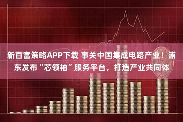 新百富策略APP下载 事关中国集成电路产业！浦东发布“芯领袖”服务平台，打造产业共同体