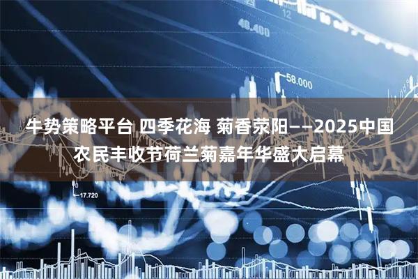 牛势策略平台 四季花海 菊香荥阳——2025中国农民丰收节荷兰菊嘉年华盛大启幕