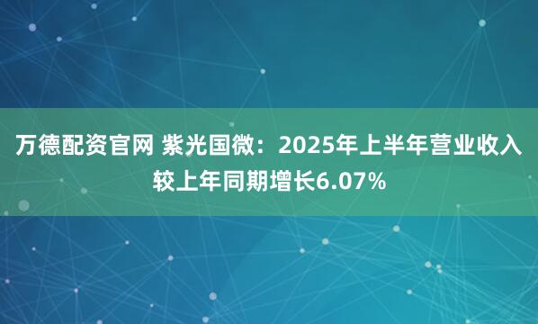 万德配资官网 紫光国微：2025年上半年营业收入较上年同期增长6.07%