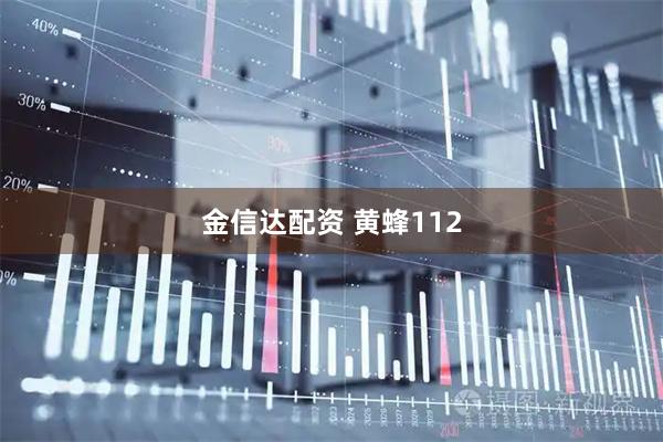 金信达配资 黄蜂112