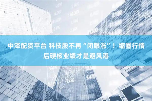 中泽配资平台 科技股不再“闭眼涨”！缩圈行情后硬核业绩才是避风港